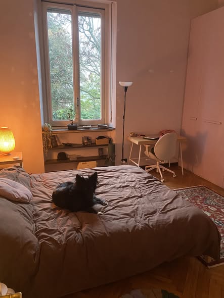 Stanza singola in Borgo Po